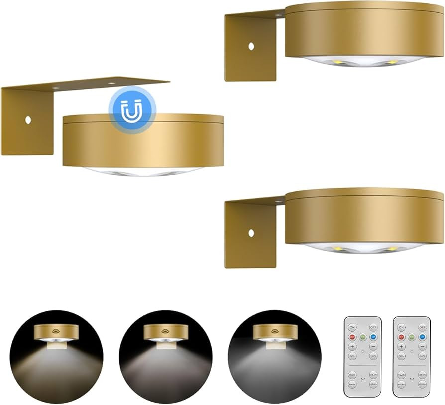 3Pack Picture Light Battery Operated Painting Lights for Wall Wireless Magnetic Display Art Light... | Amazon (US)