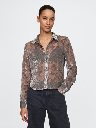 Cropped Velvet Shirt | Gap (US)