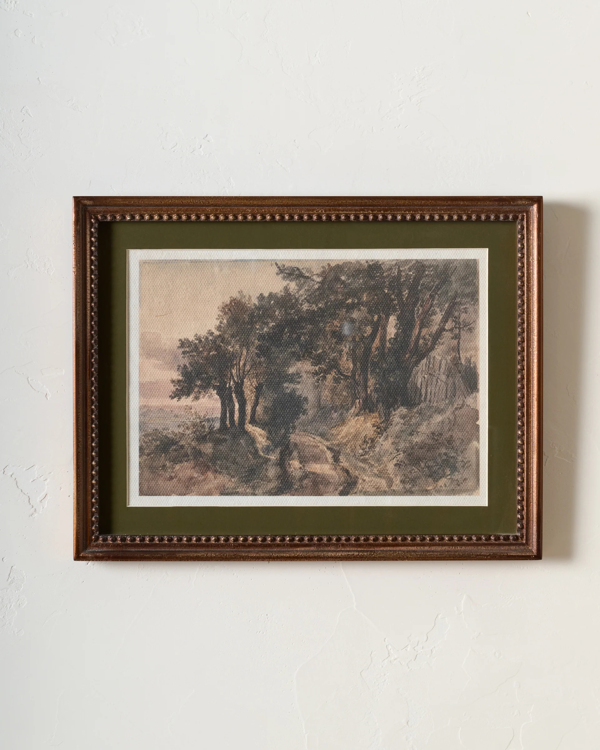 Oak View Landscape | Magnolia