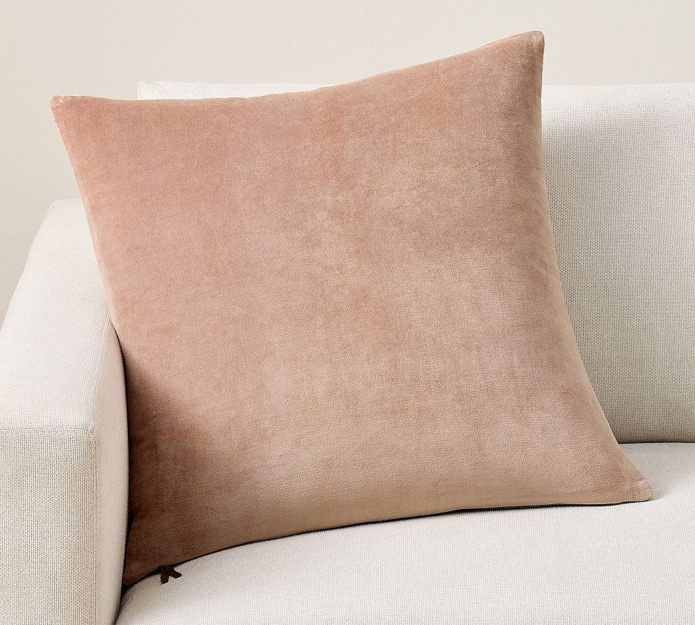 Icon Velvet Pillow Cover | Pottery Barn (US)