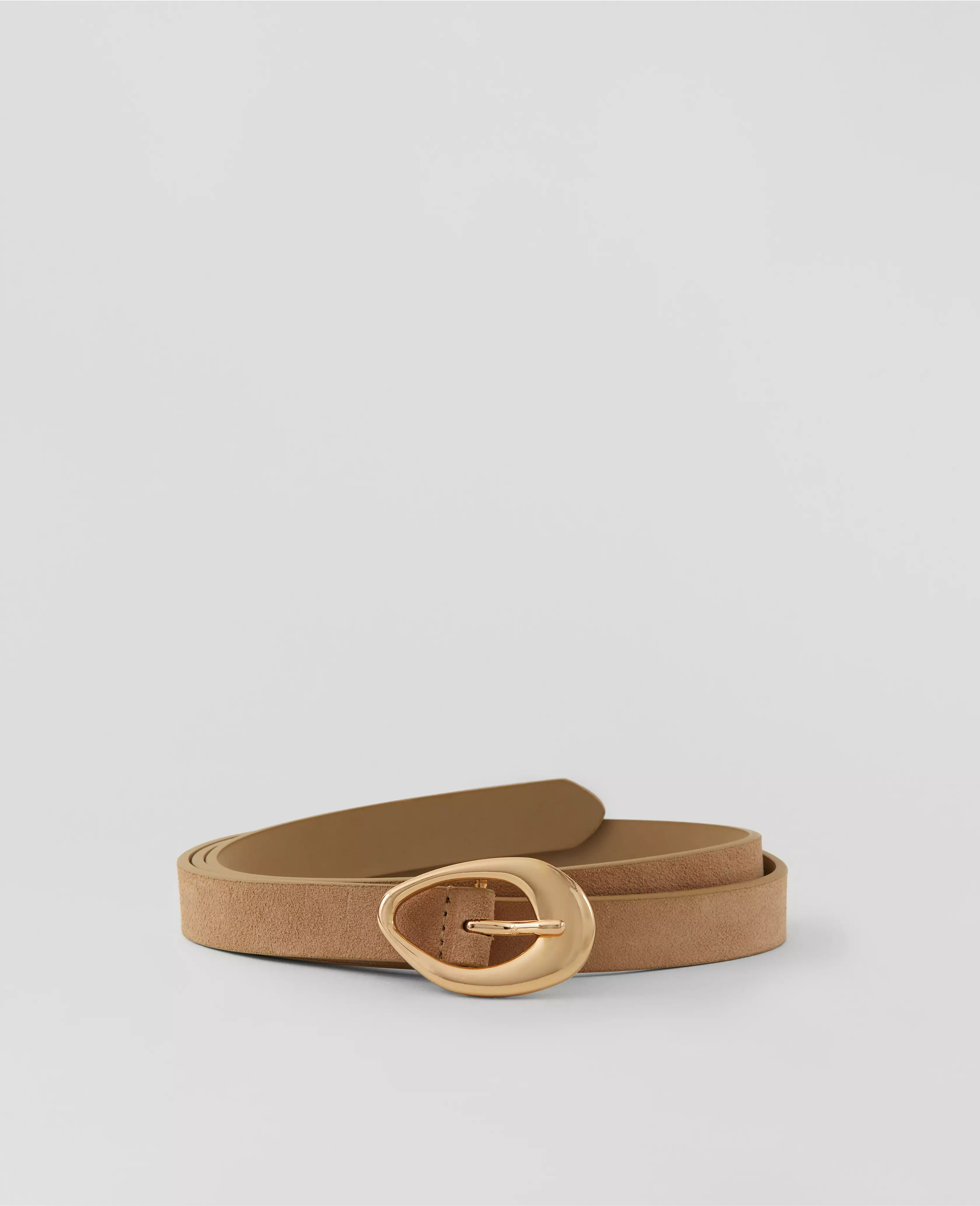 Suede Textured Buckle Belt | Ann Taylor