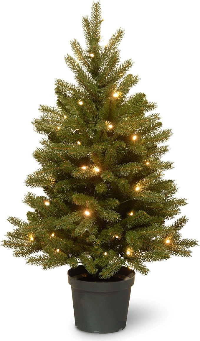National Tree Company 'Feel Real' Pre-lit Artificial Christmas Tree For Entrances | Includes Pre-... | Amazon (US)