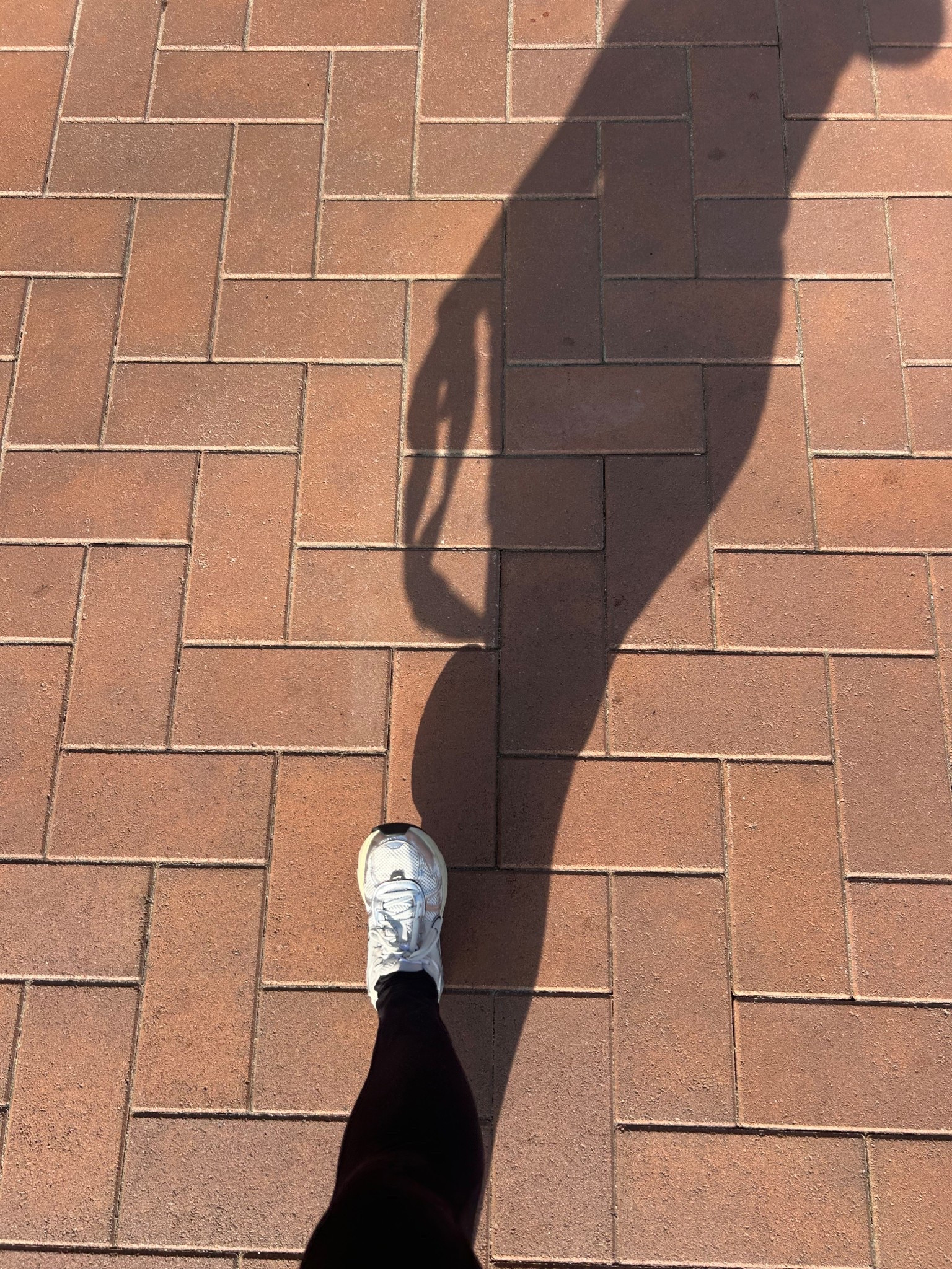 Chasing goals, one step at a time.

First step: getting to the gym.
Wearing my Nike V2K Run in Metallic Silver — these are my go-to for walking, running, and everything in between. Sleek, comfy, and they catch the light just right.

nike | workout | gym | walking shoes | running shoes 

#LTKShoeCrush #LTKStyleTip #LTKActive