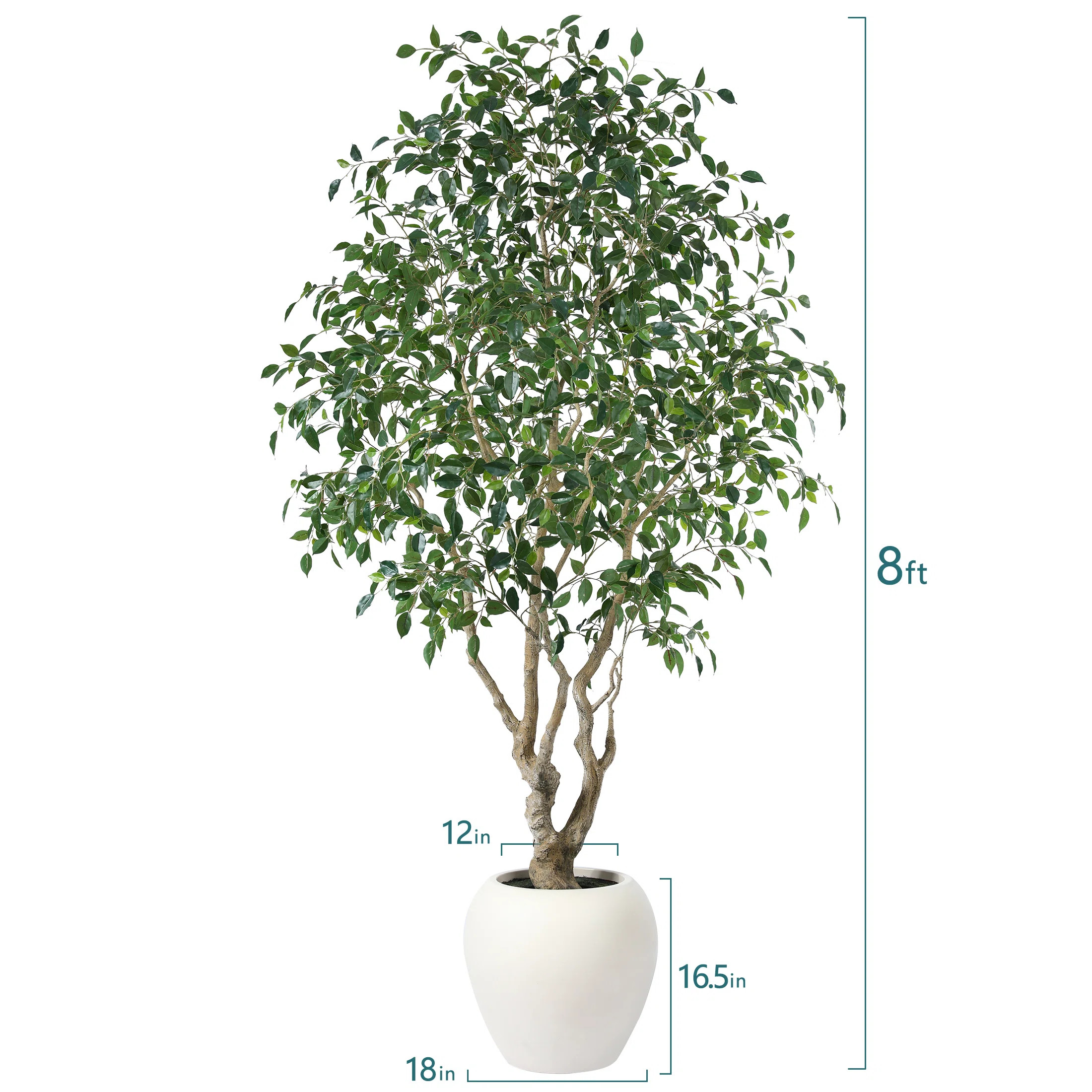 Adcock 8ft Artificial Ficus Tree with 18in White Planter, Tall Faux Ficus Tree for Outdoor | Wayfair North America