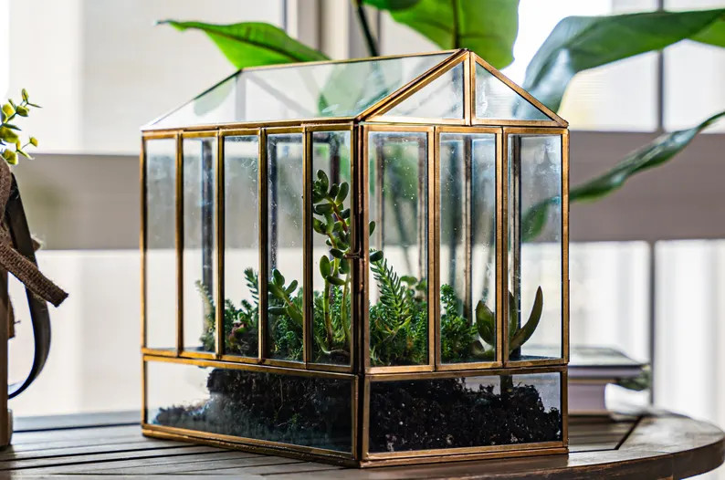 Brass Greenhouse Terrarium, Glass & Metal Indoor Display Case (10x6.5x10 Inches) - Etsy | Etsy (Global)