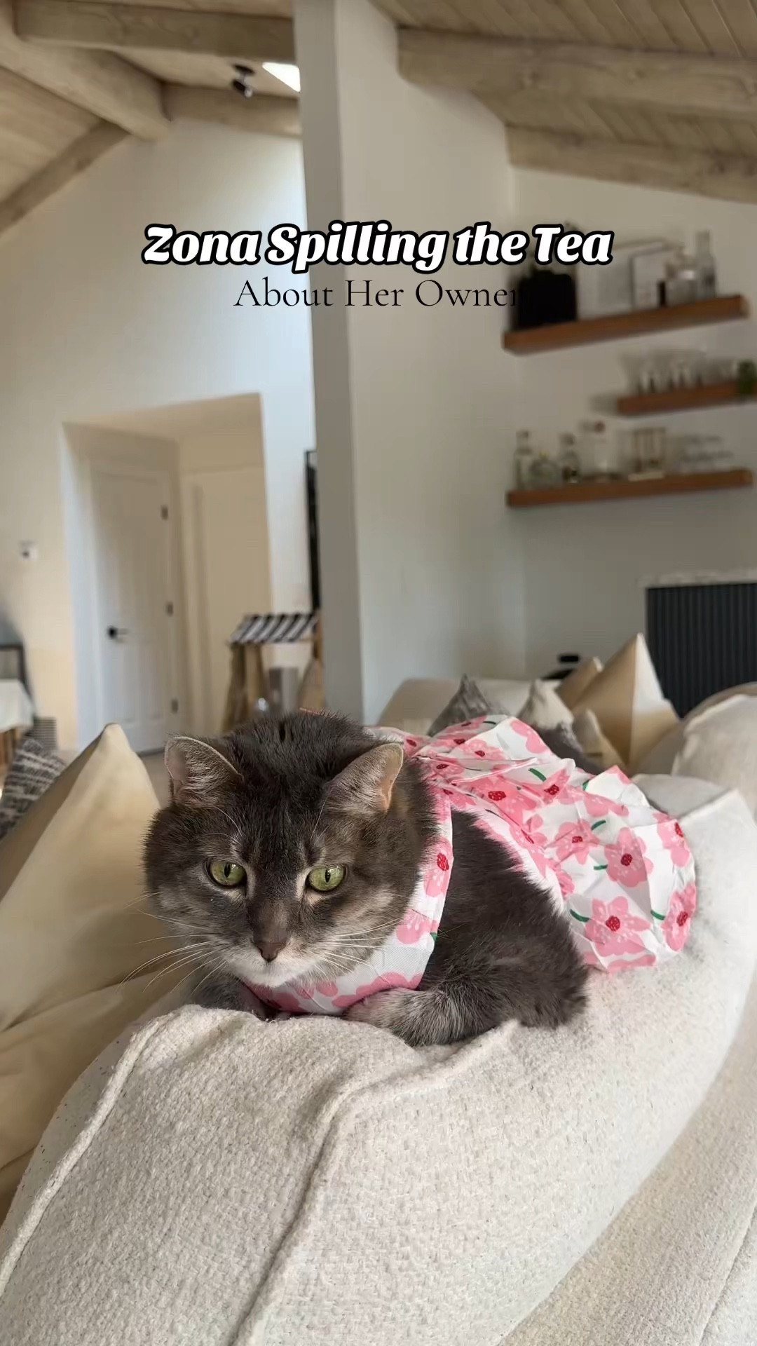 We absolutely love this self-cleaning litter box by Whisker. The Litter-Robot 5 is a busy pet parent essential! Takes cleaning to a whole new level! Highly recommend for your cat AND for you. 

#ltkpet 

#LTKHome