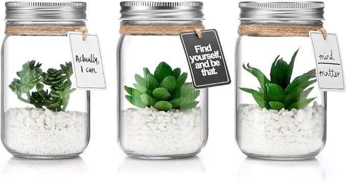 Opps Mini Artificial Green Succulent Plants with Special Rope Design Clear Glass Jar – Set of 3 | Amazon (US)