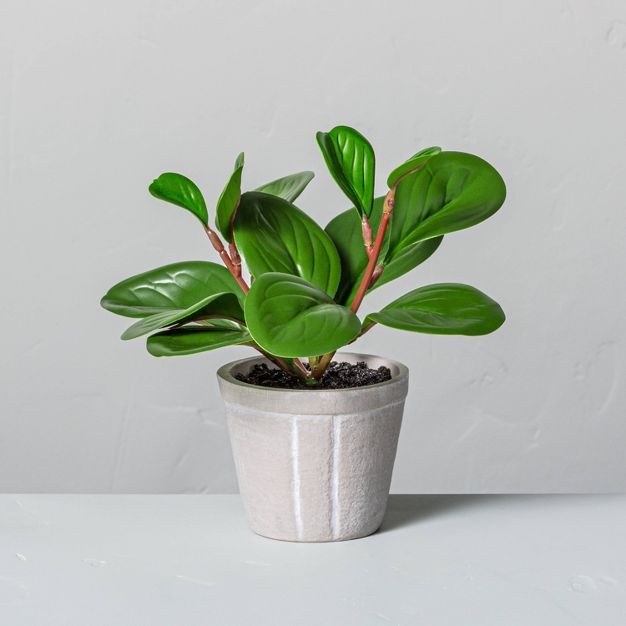 7" Mini Faux Peperomia Potted Plant - Hearth & Hand™ with Magnolia | Target