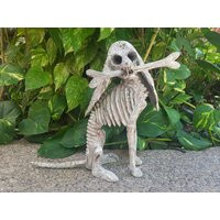 Pp2050 Beutiful Oaxacan Wood Carving Skeleton Dog, By Alejandrino Fuentes | Etsy (US)