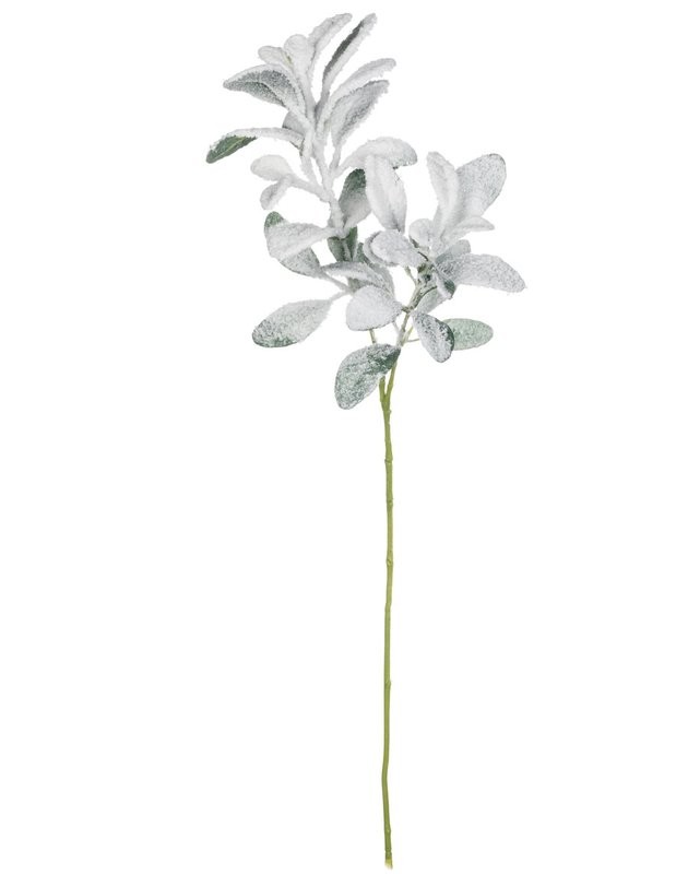 Lambs Ear Foliage Stem (Set of 4) | Wayfair North America