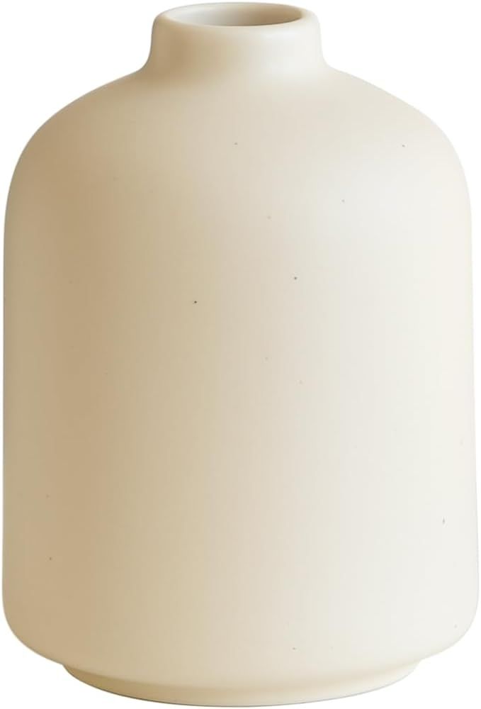Mini Bud Vases, Ceramic Small Vase for Decor, Matte Crème (D) | Amazon (US)