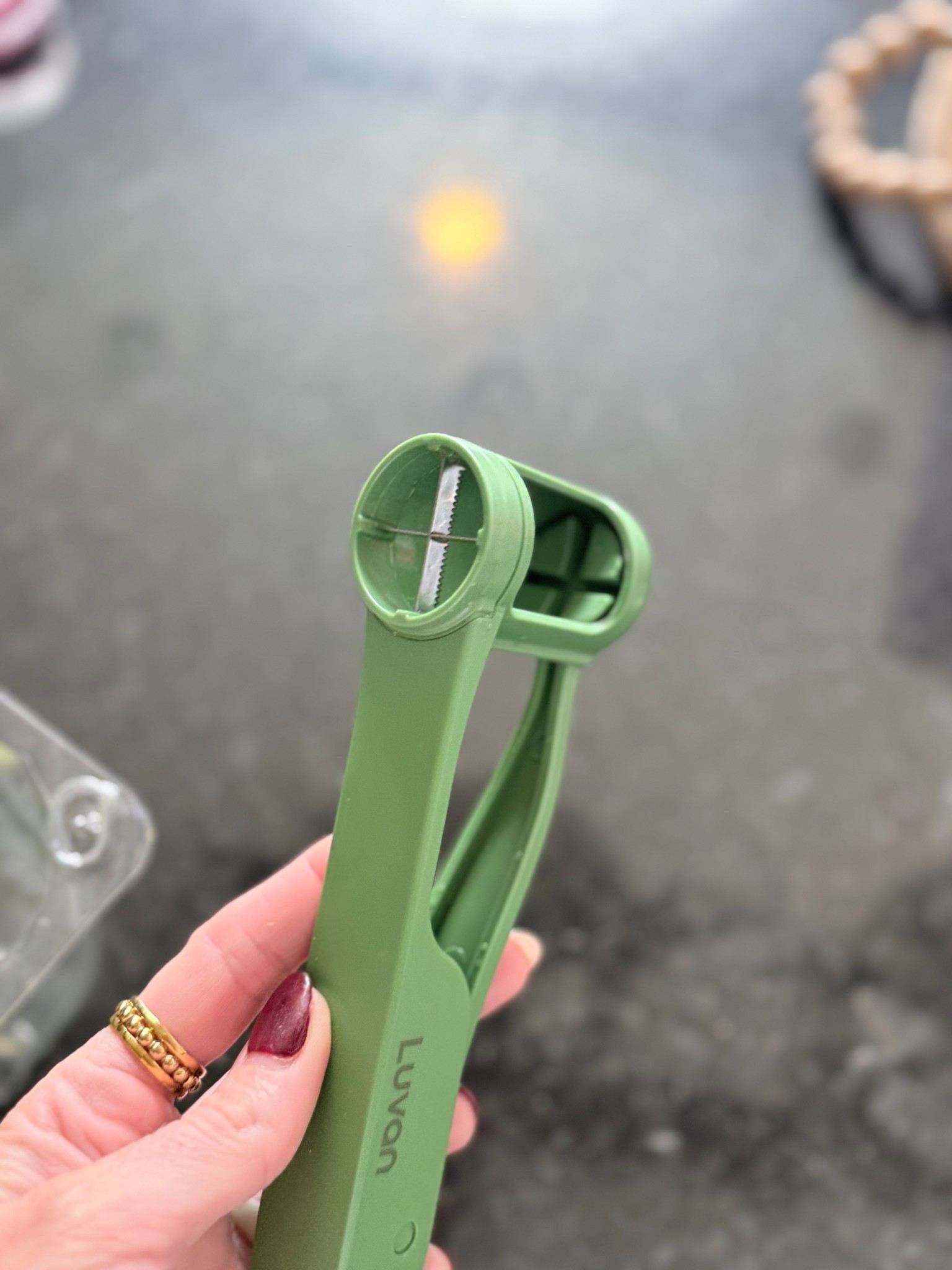 Grape slicer

#LTKdayinmylife #LTKHome #LTKmomlife