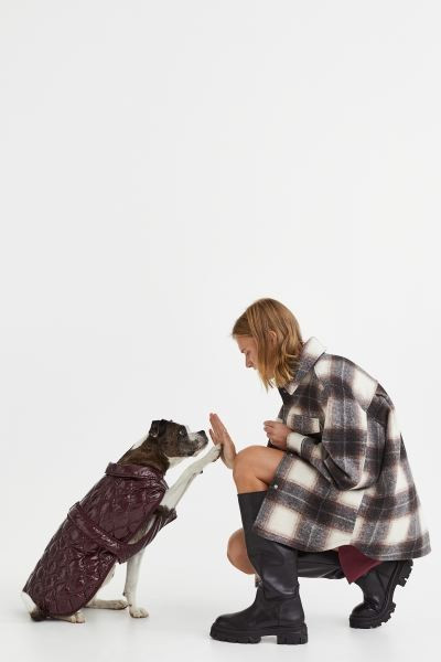 Quilted Dog Jacket | H&M (US + CA)