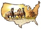 Next Innovations 23.75" X 6.75" USA Shape with Horses Home Decor | Amazon (US)