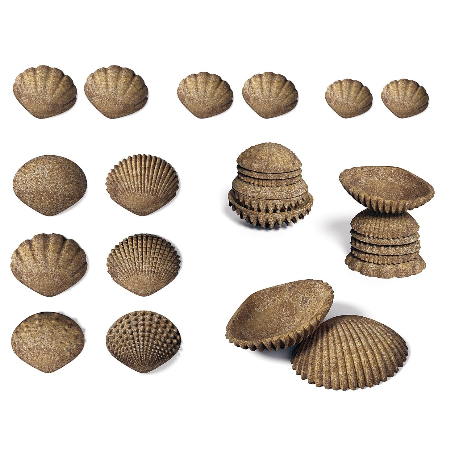 edxeducation Tactile Shells - Eco-Friendly - 36 Pieces, 6 Textures, 3 Sizes - Ages 18m+ - Sensory... | Amazon (US)