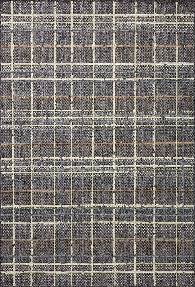 Loloi II Rainier Collection RAI-11 Indoor/Outdoor, Charcoal/Multi 7'-10" x 10'-10" Area Rug | Amazon (US)