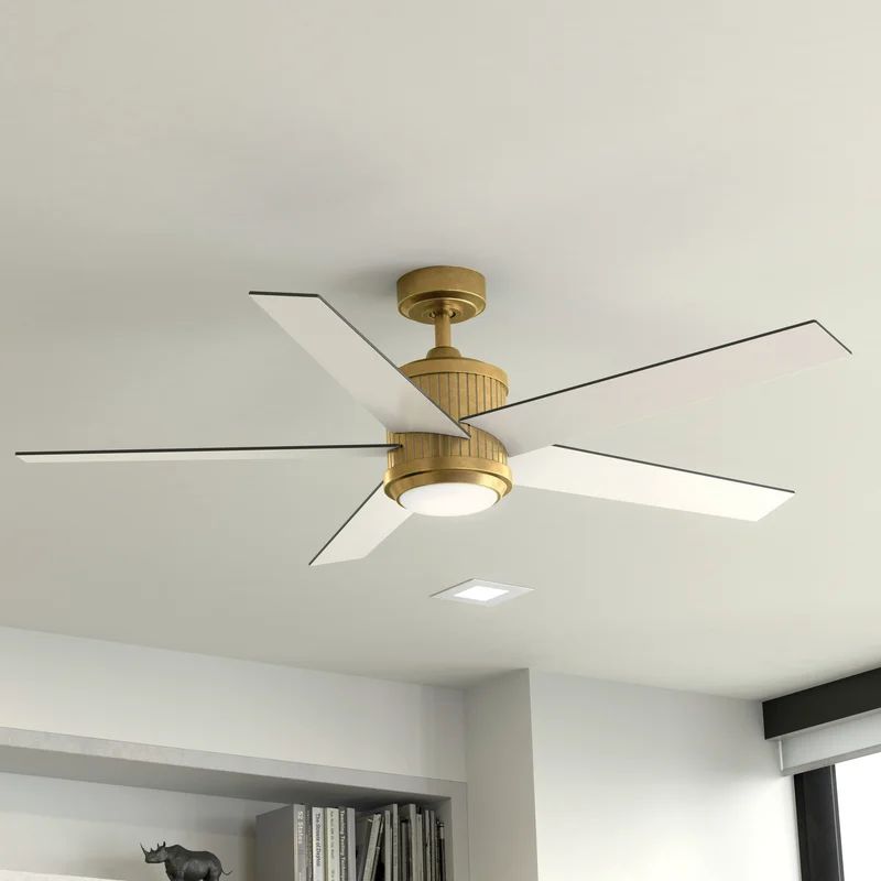 56'' Keohane 5 - Blade LED Standard Ceiling Fan with and Light Kit Included | Wayfair North America