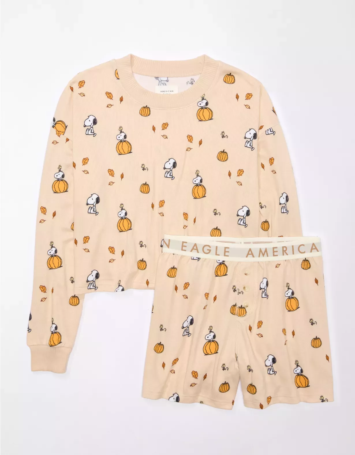 AE Peanuts Fall Plush PJ Set curated on LTK