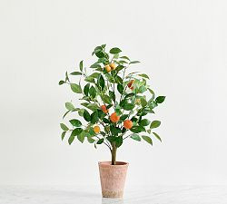 Faux Potted Orange Topiary | Pottery Barn (US)