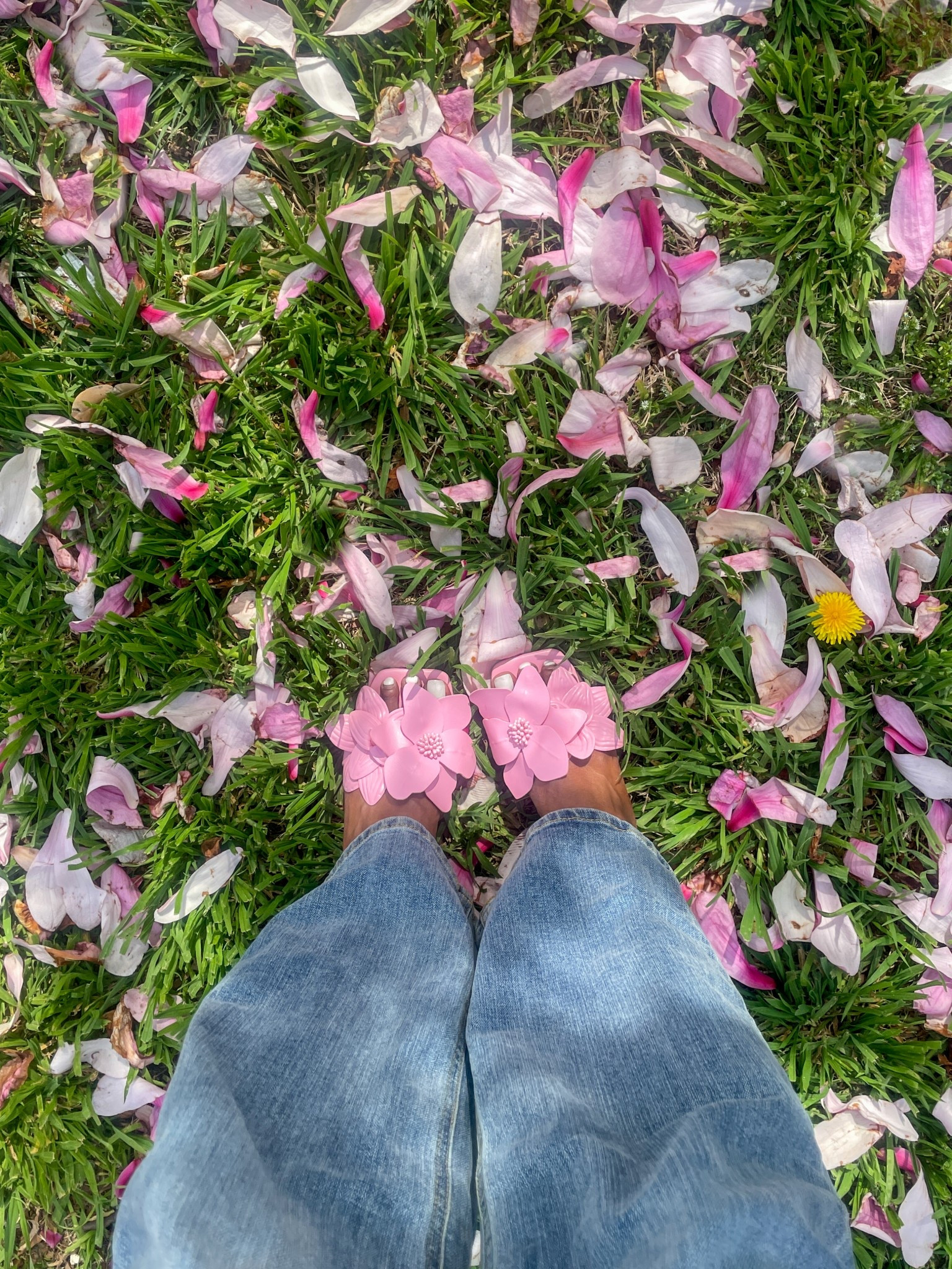 loving the flower shoe trend! perfect for spring 🌸


spring fashion, spring outfit, spring shoes, flower sandals, flower shoes, floral sandals, floral shoes 

#LTKShoeCrush #LTKSeasonal