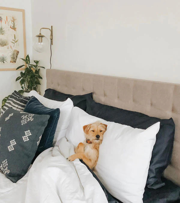 Classic Percale Duvet Set | Brooklinen