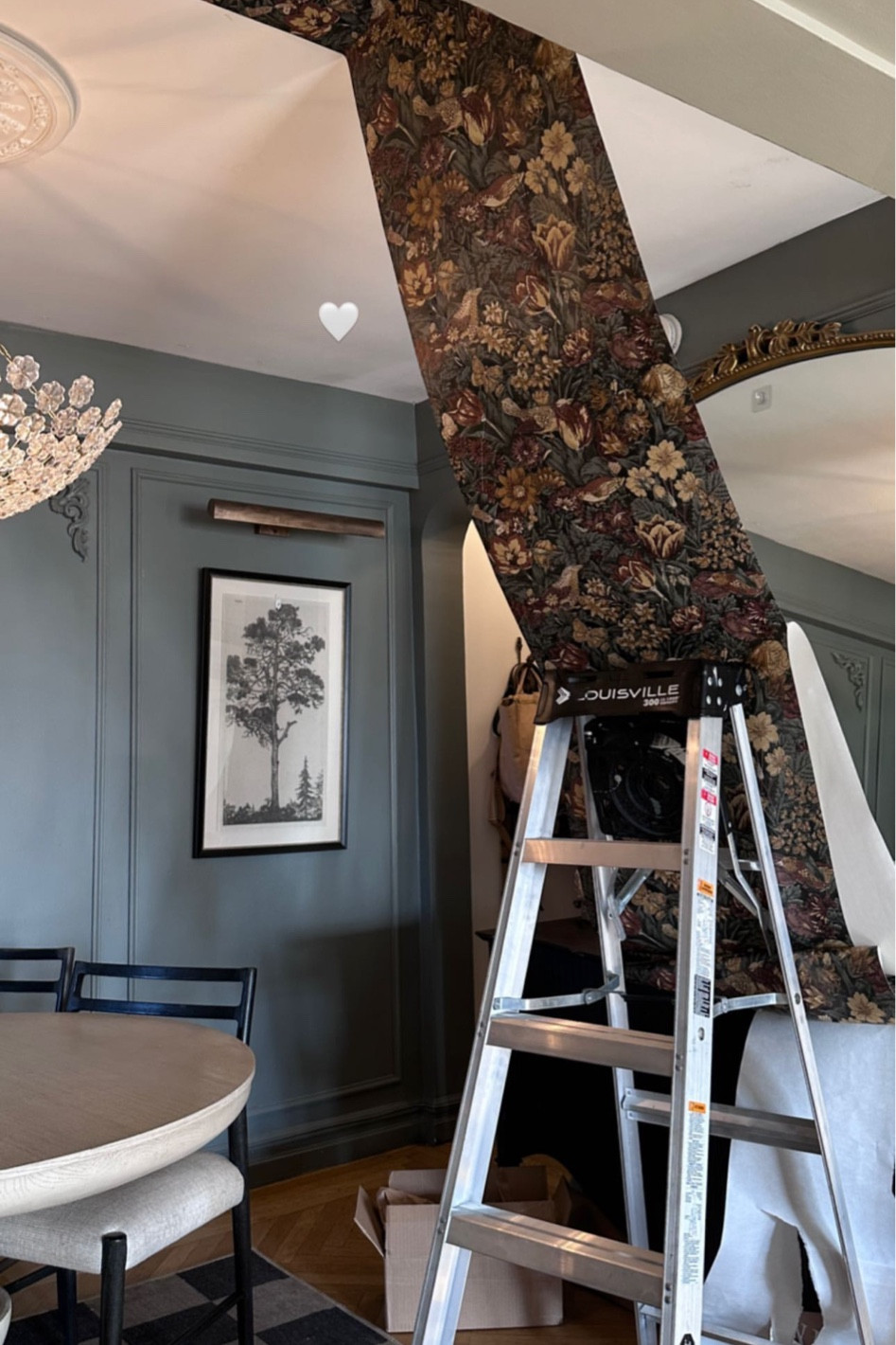 peel and stick wallpaper going on the ceiling

#LTKhome