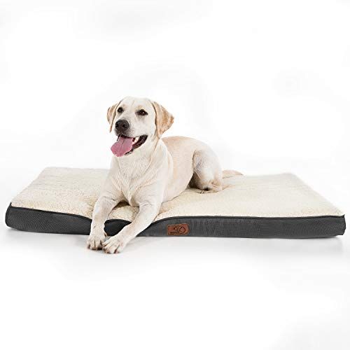 Bedsure Large Dog Bed (M/L/XL) for Small, Medium, Large Dogs Up to 50/75/100lbs - Orthopedic Egg-... | Amazon (US)