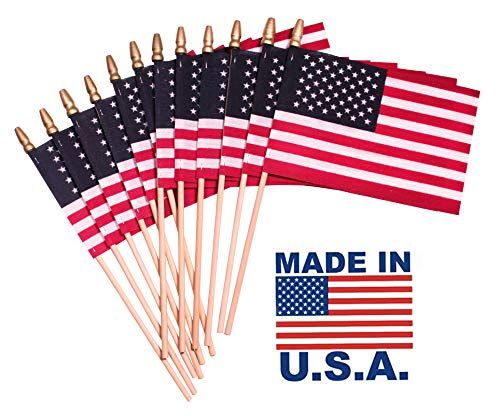 Small Handheld Spearhead American Flags - 8 x 12 inch. Handheld Stick Flags with SpearTop Great f... | Amazon (US)