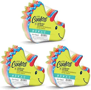 Fit & Fresh Cool Coolers | Amazon (US)