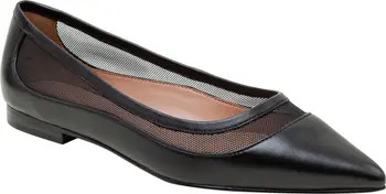 Novah Pointed Toe Flat (Women) | Nordstrom