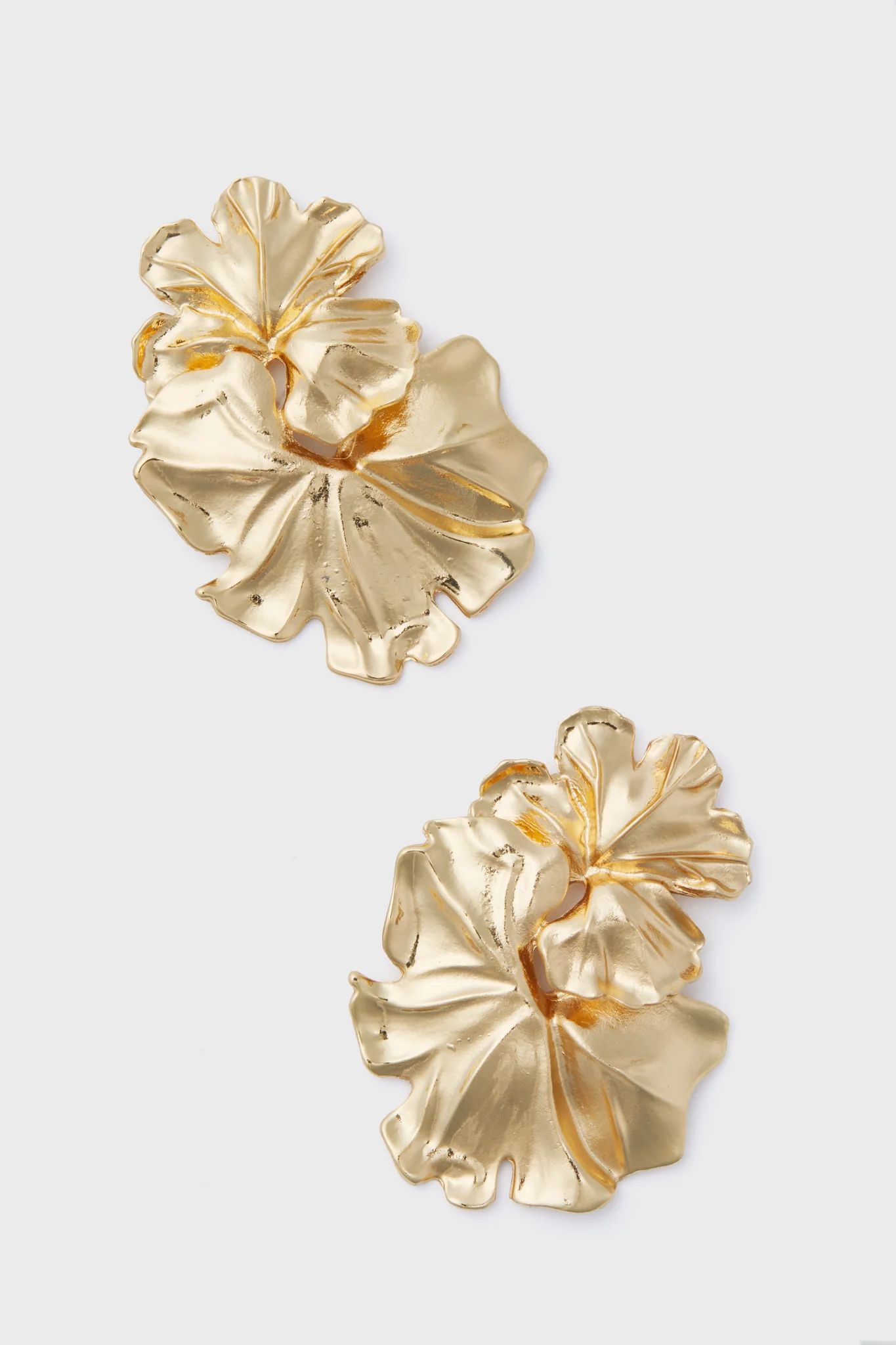 Gold Noveldo Earrings | Tuckernuck (US)