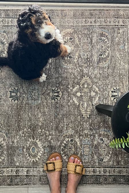 A favorite rug: Layla from loloi in antique/moss.. it has warm tones of brown, grey, taupe, green and a subtle blue
Entry rug, area rug 

#LTKHome