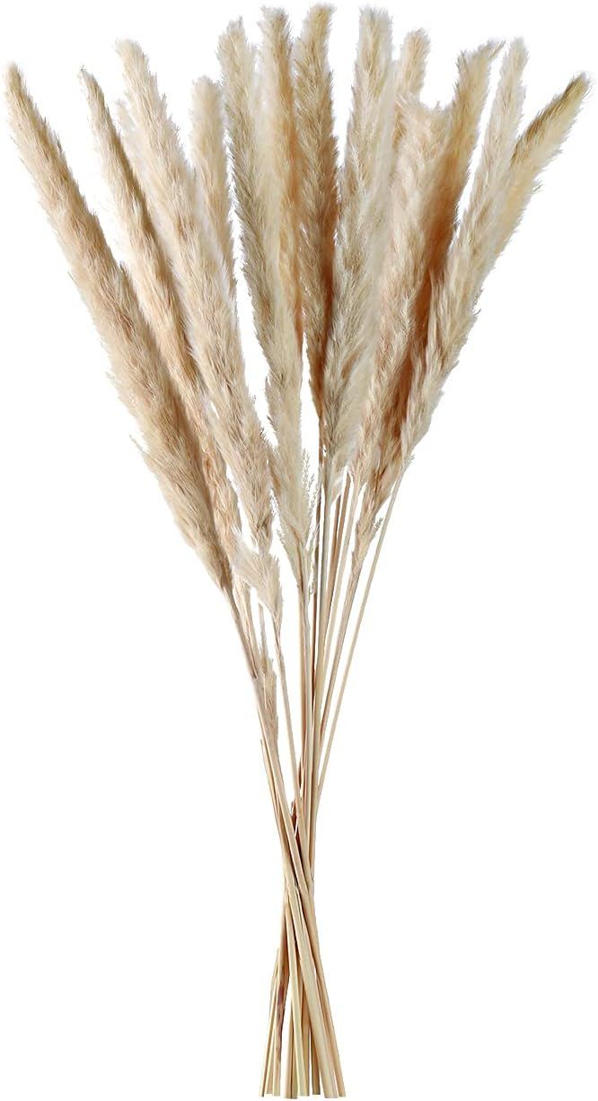 Näur.Själ 30Pcs Natural Dried Pampas Grass, 24Inches Dried Flowers for Vase, Pompass Grass Bran... | Amazon (US)
