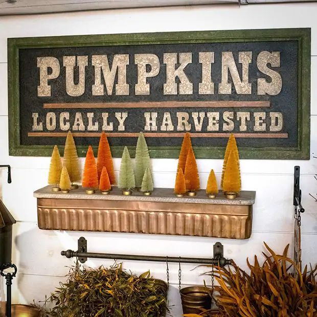 HUGE Locally Harvested Pumpkins Wall Sign | Antique Farm House