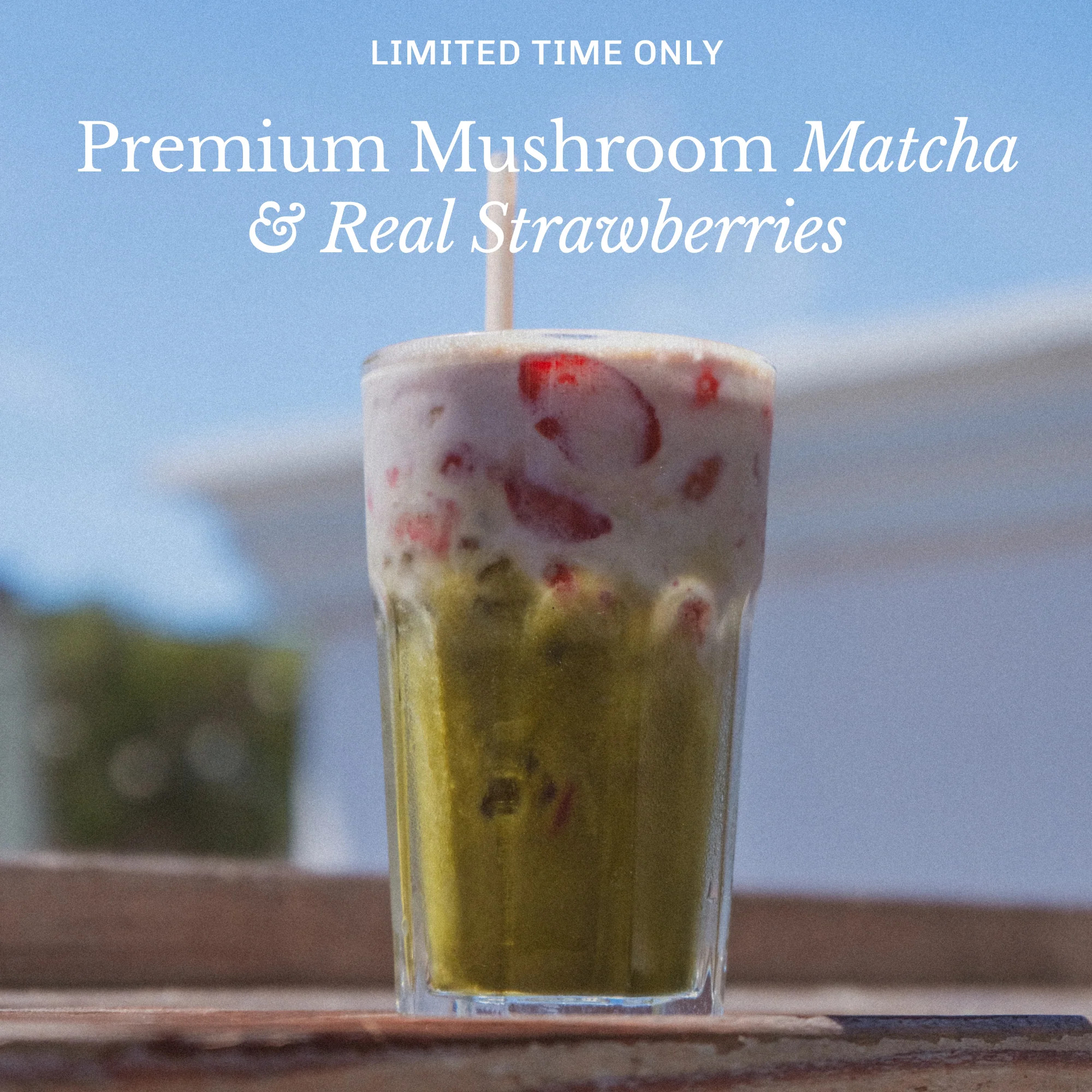 Strawberry Matcha Bundle | MUD\WTR