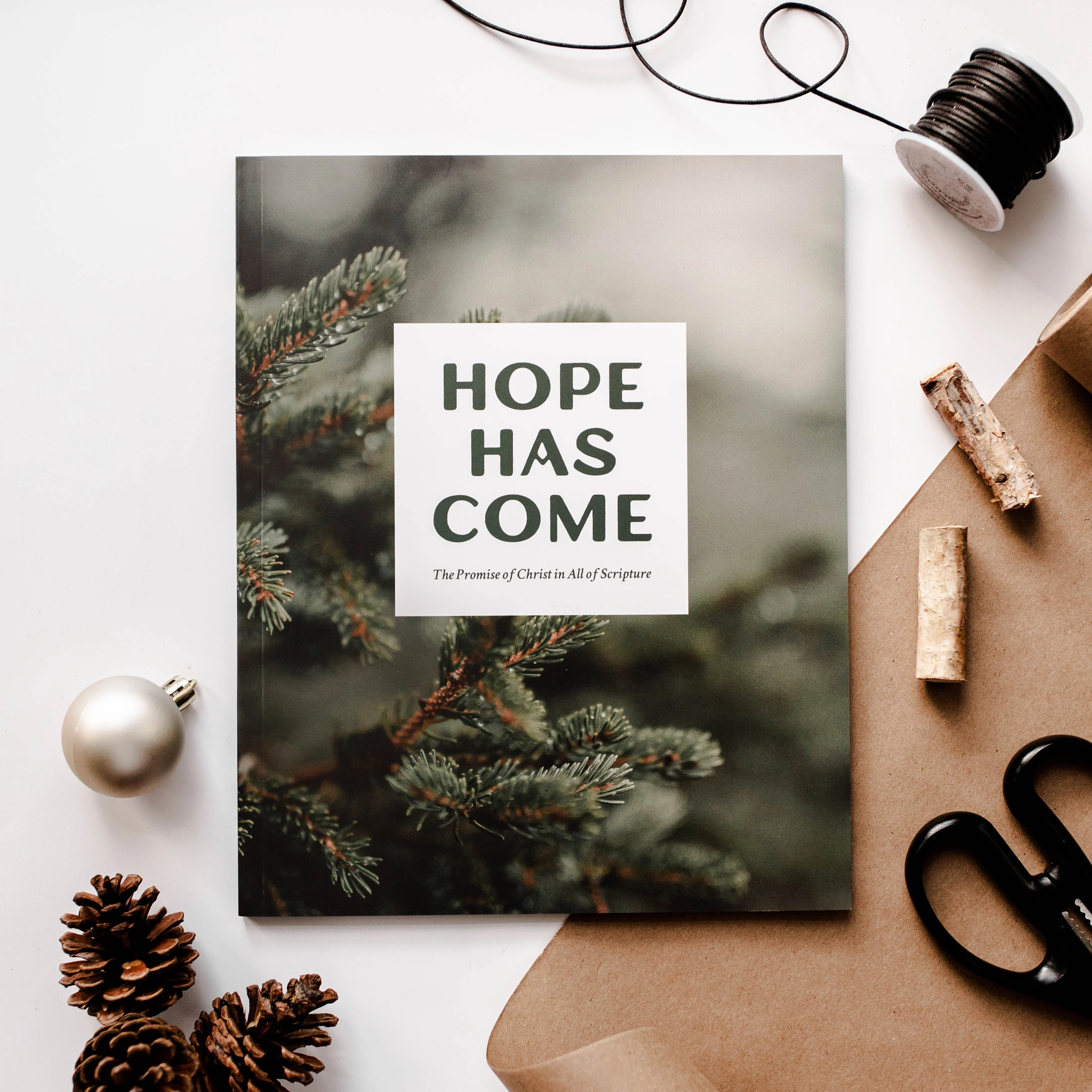 Hope Has Come | Advent Study - Men | The Daily Grace Co.