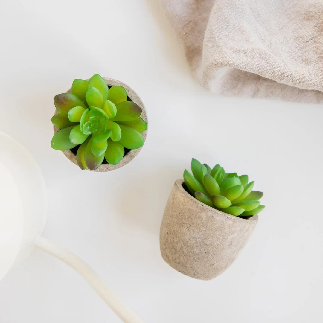 Mini Faux Succulent in Rustic Cement Pot | Etsy (US)