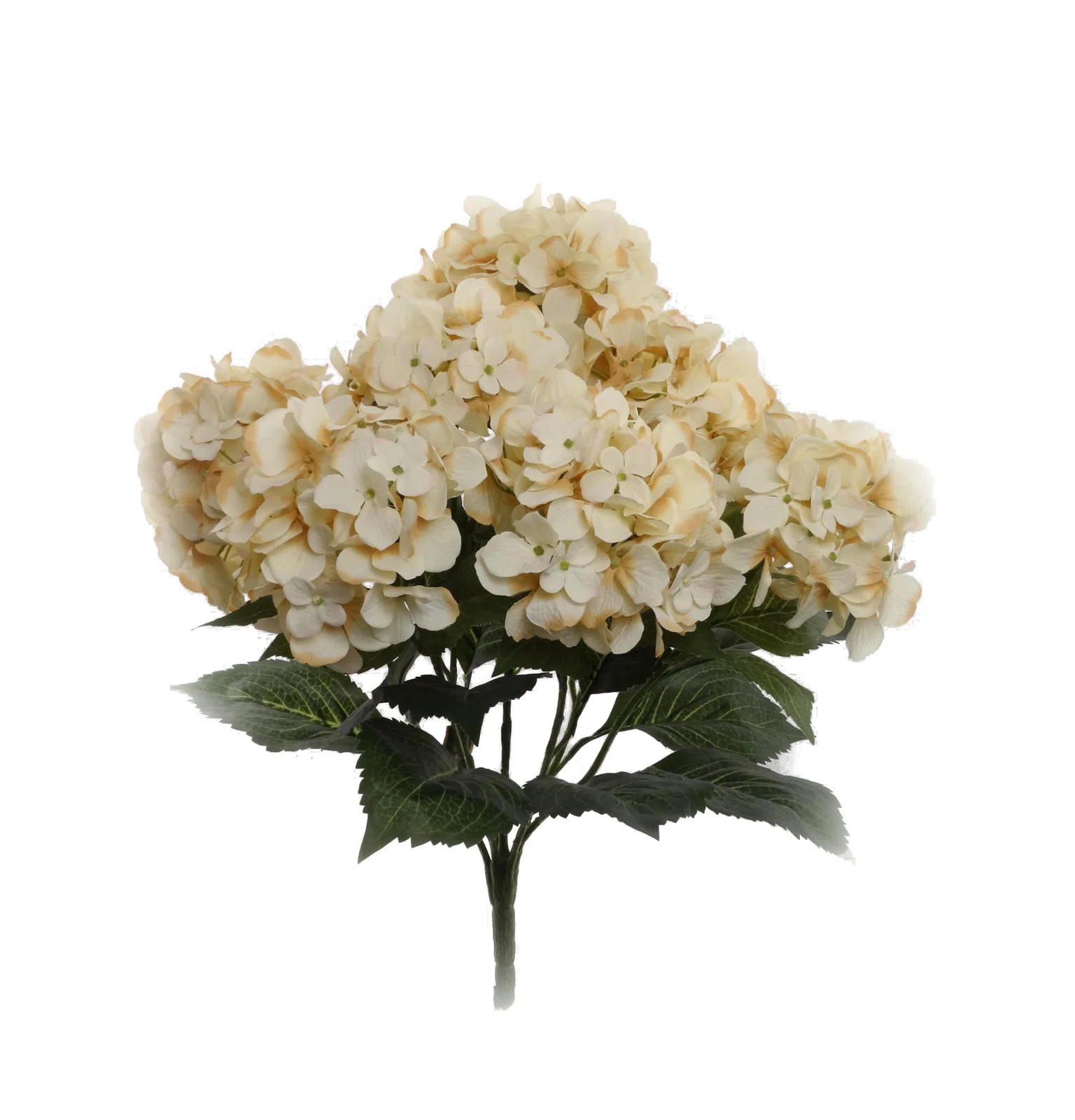 Hydrangea Bush | Wayfair North America