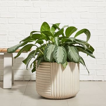 18.1"diam x 14.9"h | West Elm (US)