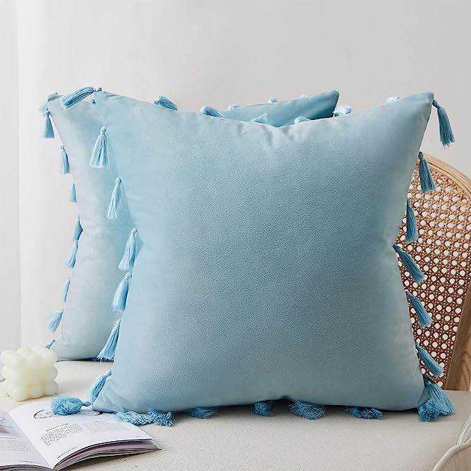 Topfinel Decorative Throw Pillow Covers with Boho Tassel Soft Velvet Cushion Covers 18 x 18 Inch ... | Amazon (US)