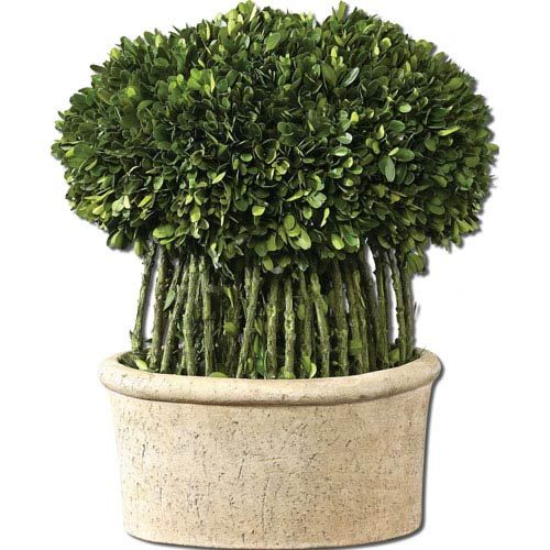 Uttermost Preserved Boxwood, Willow Topiary Botanical 60108 | Bellacor | Bellacor