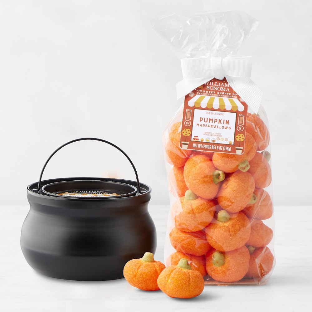 Williams Sonoma Halloween Hot Cocoa Cauldron & Pumpkin Marshmallows | Williams-Sonoma