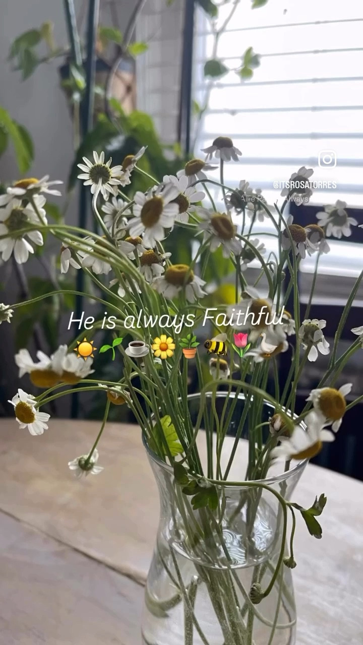 Ways that bring joy to the day!  A cup of coffee the sunrise, flowers, & plants.

#garden #coffee #flowers #blooms #rosegarden #seeds #joy

#LTKHome #LTKSeasonal #LTKmomlife