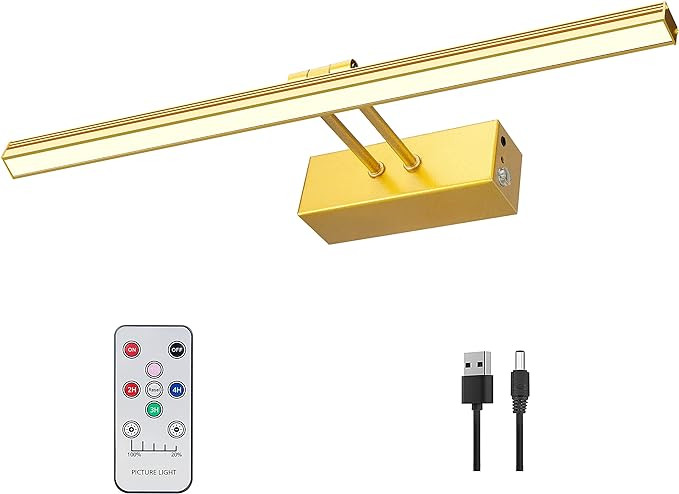 FUNCHDAY Picture Light,5000mAh Battery Operated Picture Light for Wall,Wireless Remote Painting L... | Amazon (US)