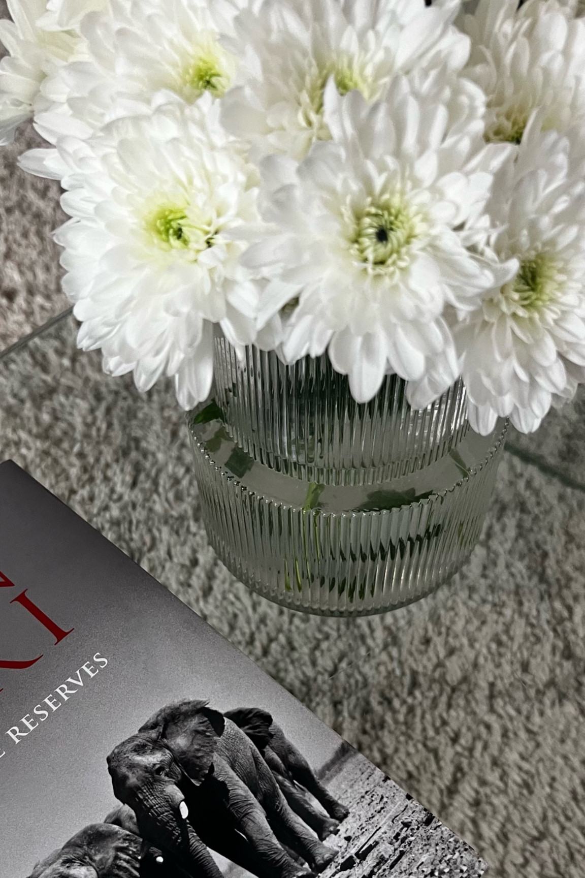 Vase for spring flowers 

Vase, amazon, amazon finds, found it on Amazon, Amazon sale, spring, spring finds, flower vase, ribbed vase, under 40, gifts for her, sale finds, decorative vase, home goods, homes, home finds, amazon home

#LTKSpringSale #LTKfindsunder50 #LTKhome