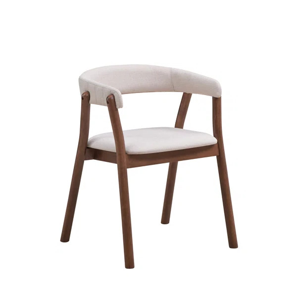 Aylenne Dining Chair (set Of 2) (Set of 2) | Wayfair North America