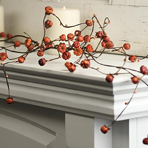 Artificial Pumpkin and Pip Berry Garland – Fall Orange Mini Dried Pumpkins and Rustic Berries, ... | Amazon (US)