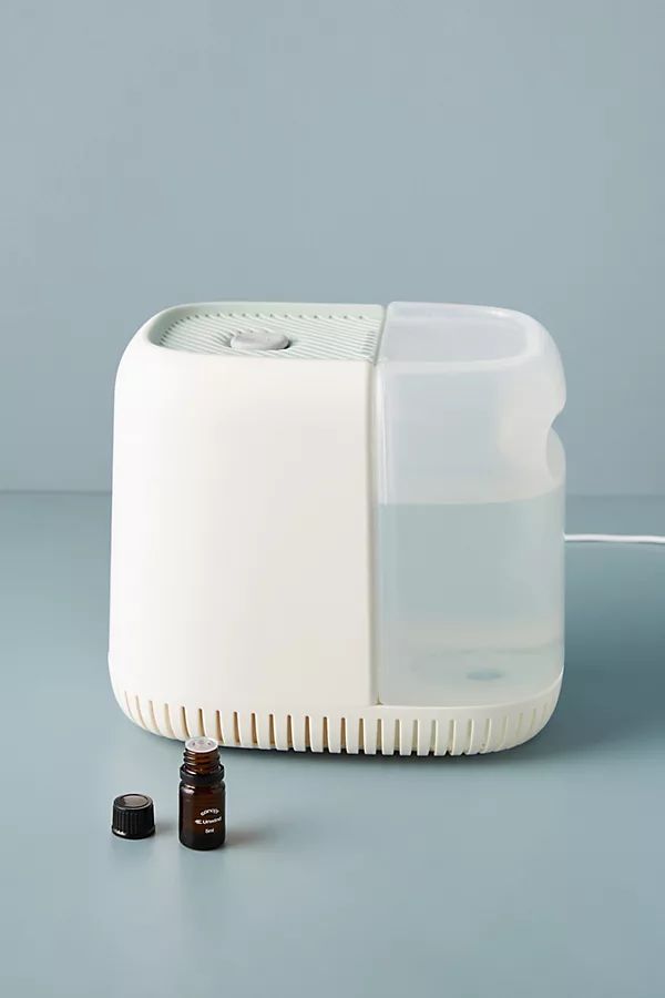 Canopy Humidifier Starter Kit By Canopy in Green | Anthropologie (US)