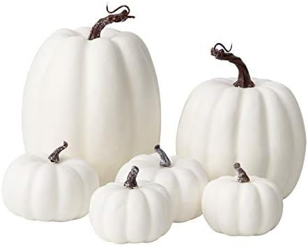 Oyydecor 6Pcs Assorted Sizes Artificial Pumpkins Decoration Harvest Fall White Pumpkins Fake Foam Pu | Amazon (US)