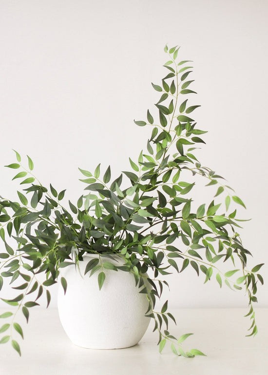 Fake Leaves Italian Ruscus Branch - 49 | Afloral (US)